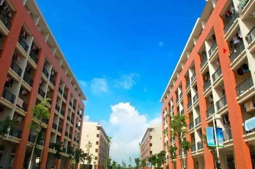 重磅 金灣爆發(fā),多盤房?jī)r(jià)破3萬(wàn) 地鐵 直通橫琴 下一個(gè)珠海市中心來(lái)了