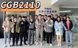 珠海達內正規(guī)軟件測試培訓課程 助力職業(yè)教育新篇章